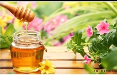 فروش عسل گشنیز با شرایط استثنایی